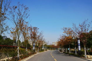 半畝方塘一鑒開，天光云影共徘徊——安徽國際商務(wù)職業(yè)學院校園綠化景觀提升工程精品賞析